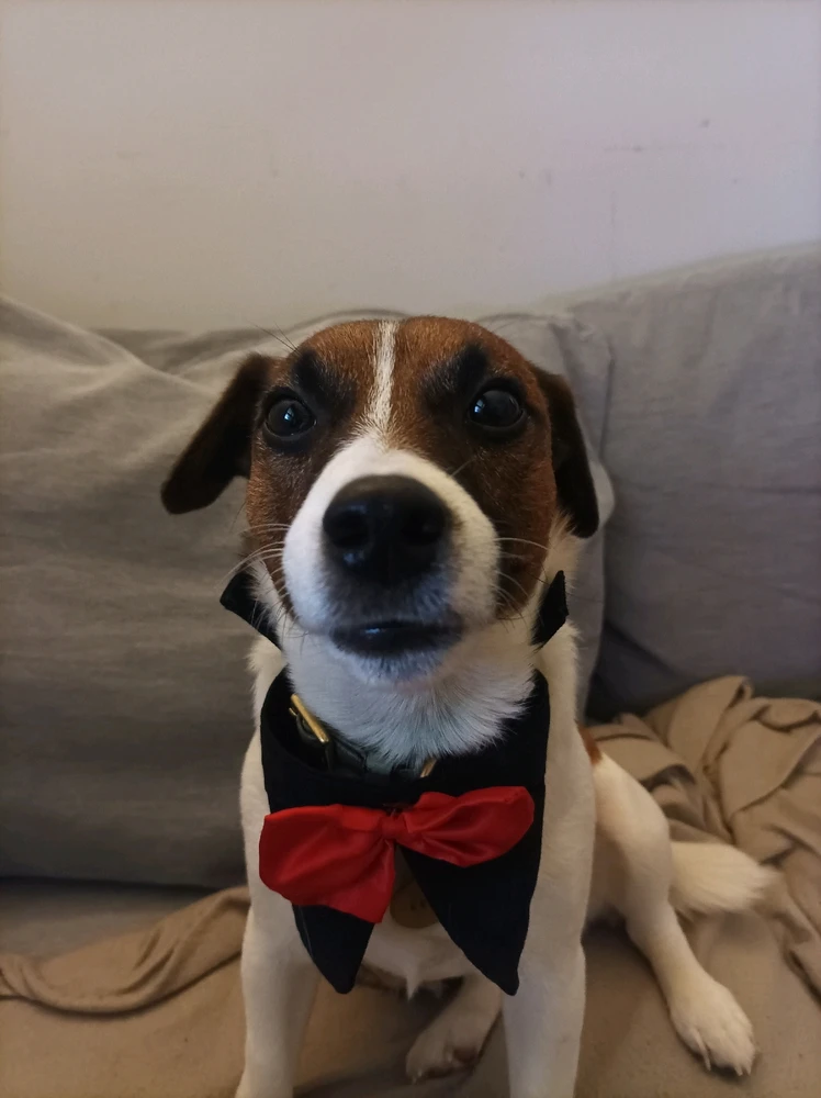 Immagine caricata da Cris