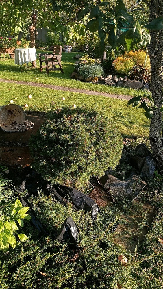 Aire laadis üles pildi