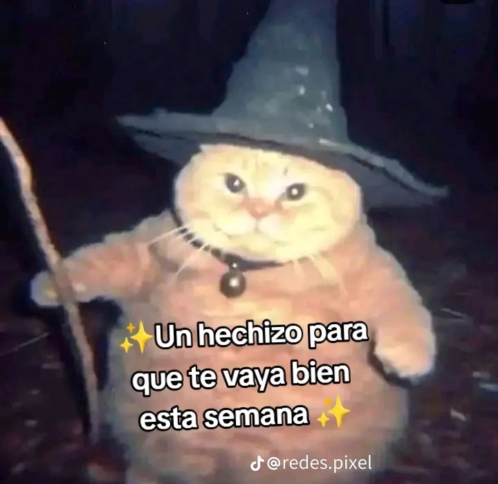 Han sentido que su vida no va a iniciar hasta que estén donde quieren estar y mientras te sientes en un limbo donde no sabes cómo reconectar con la realidad?