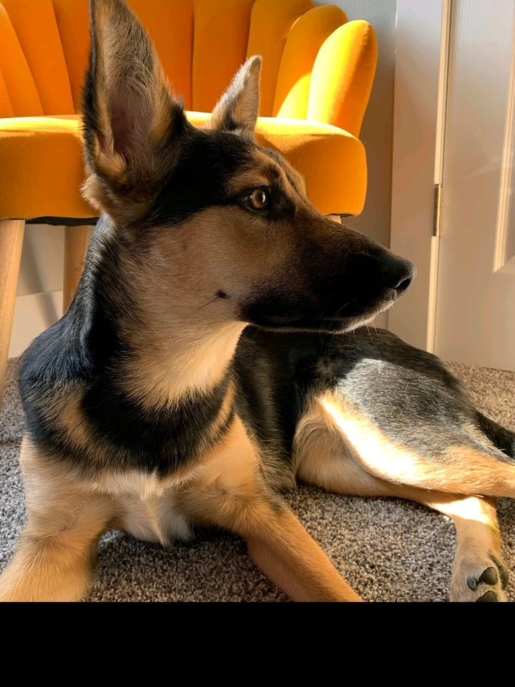 Image uploaded by Kate