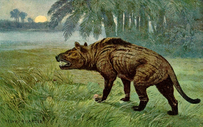 An image of Hyaenodon stalking through a prairie at either dusk or dawn, it’s enlarged teeth exposed in a growl. By H. Harder