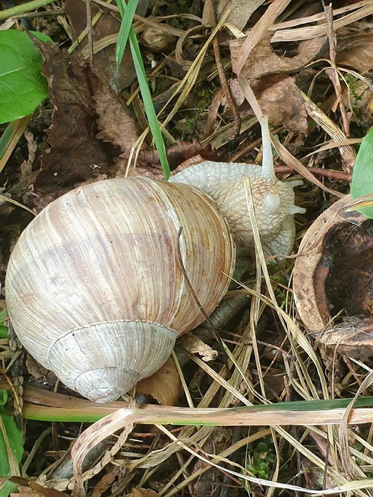 Bild hochgeladen von Mel