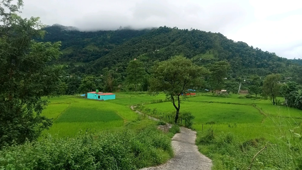 Image uploaded by Gypsy