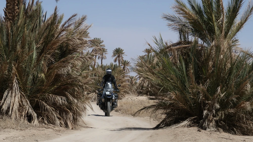 Obrázek nahrál Mare