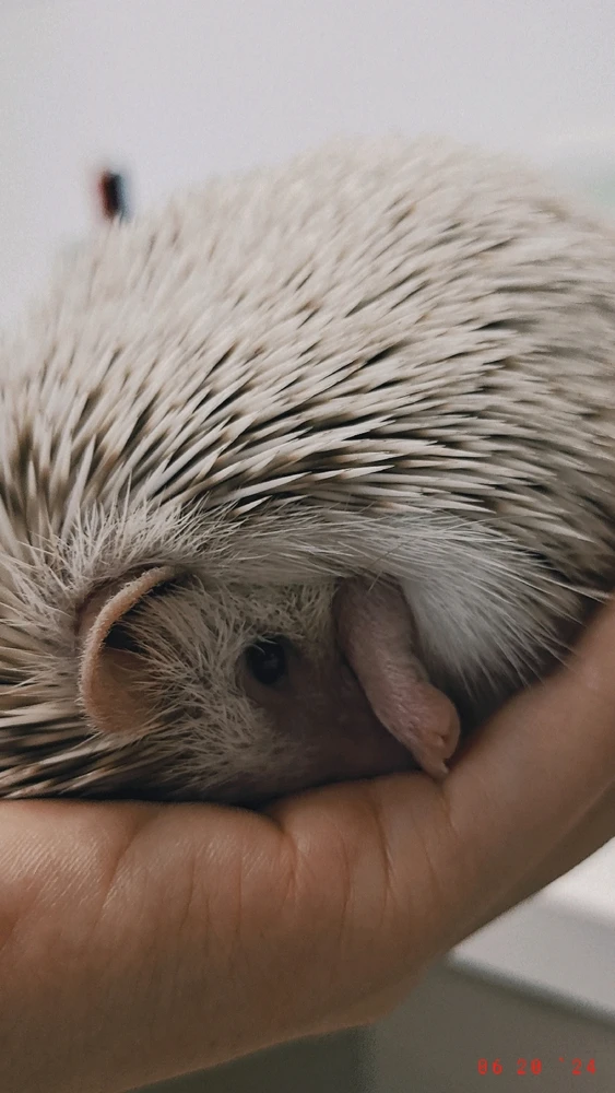 Image uploaded by Chenyu