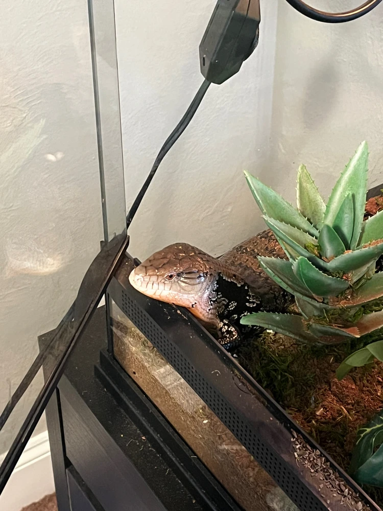 Image uploaded by Theo