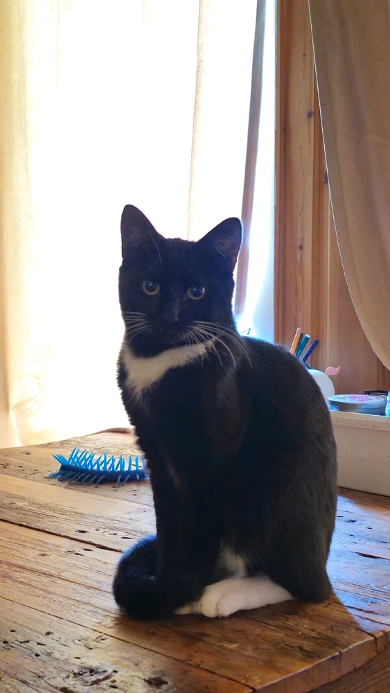 Фото загрузил Kristina