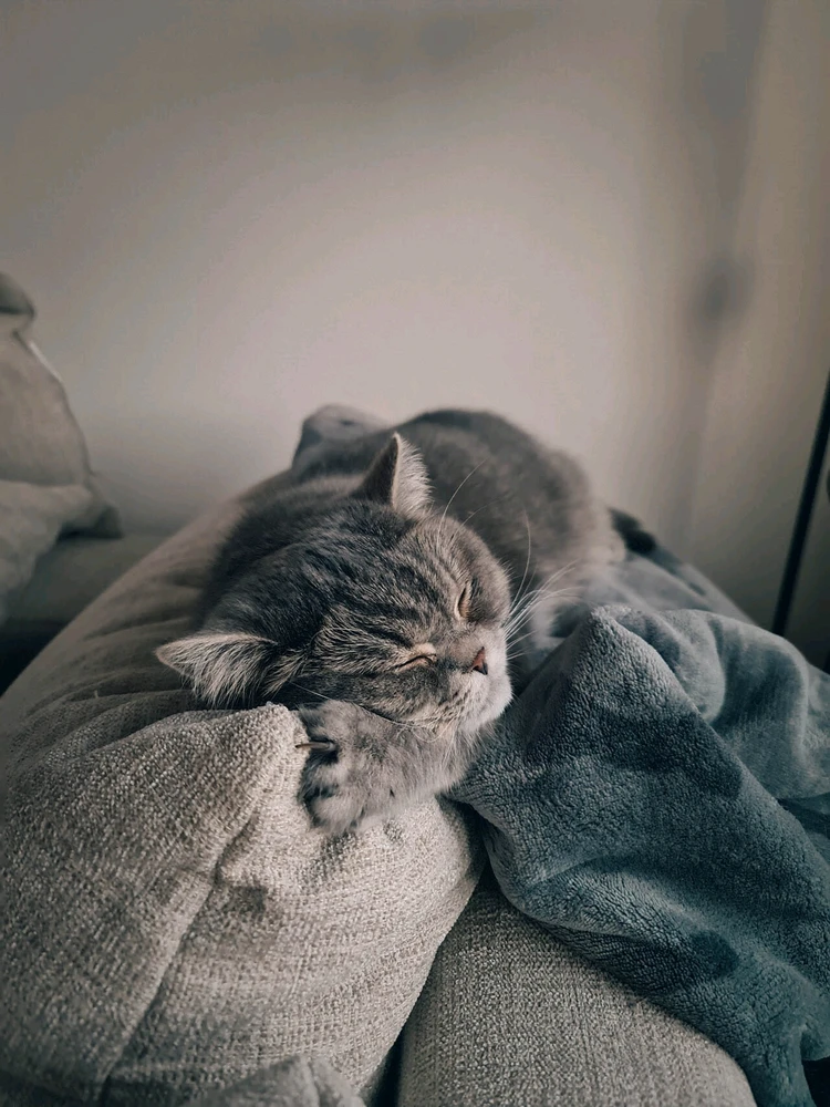 Bild hochgeladen von Dani