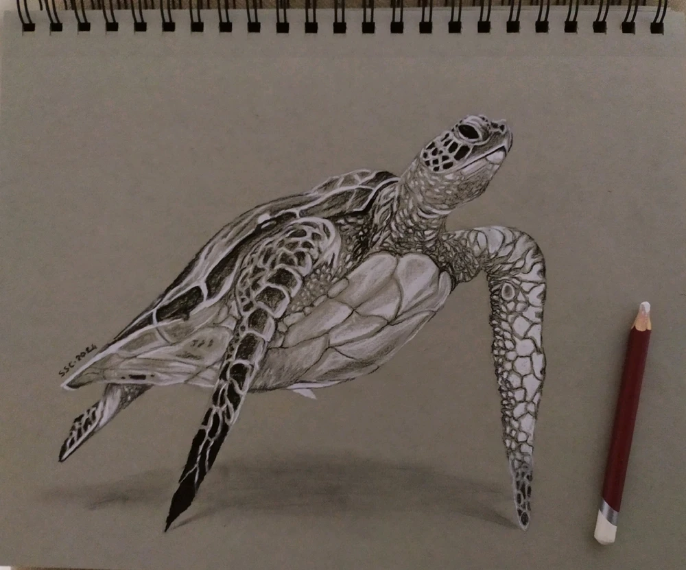 Sezer Sait Can tarafından yüklenen görsel