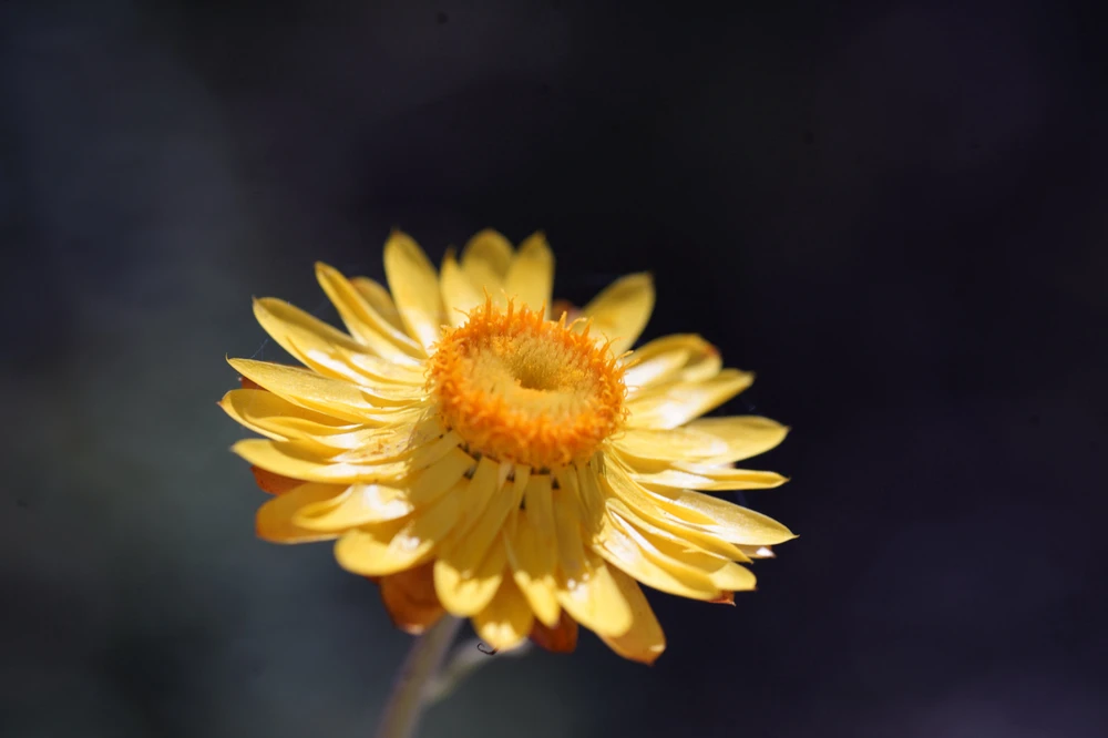 Image uploaded by Jamie