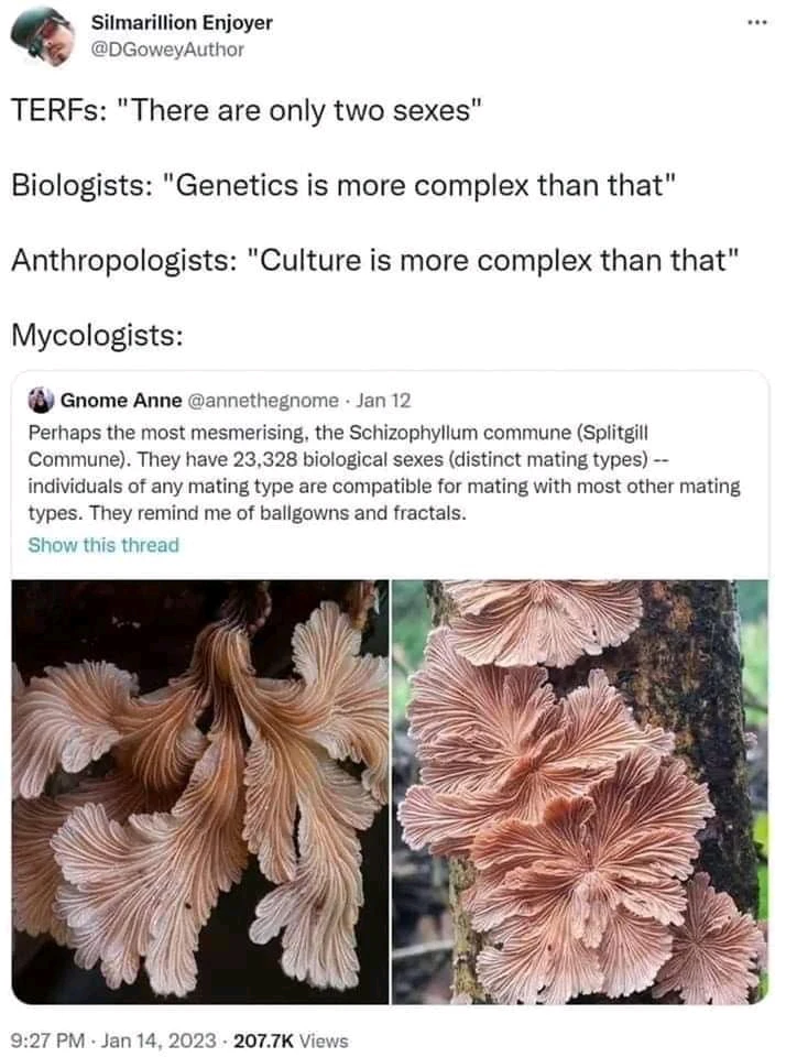 Gambar diunggah dening Laura