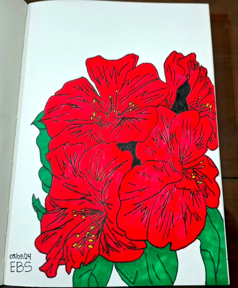 Image uploaded by Edo