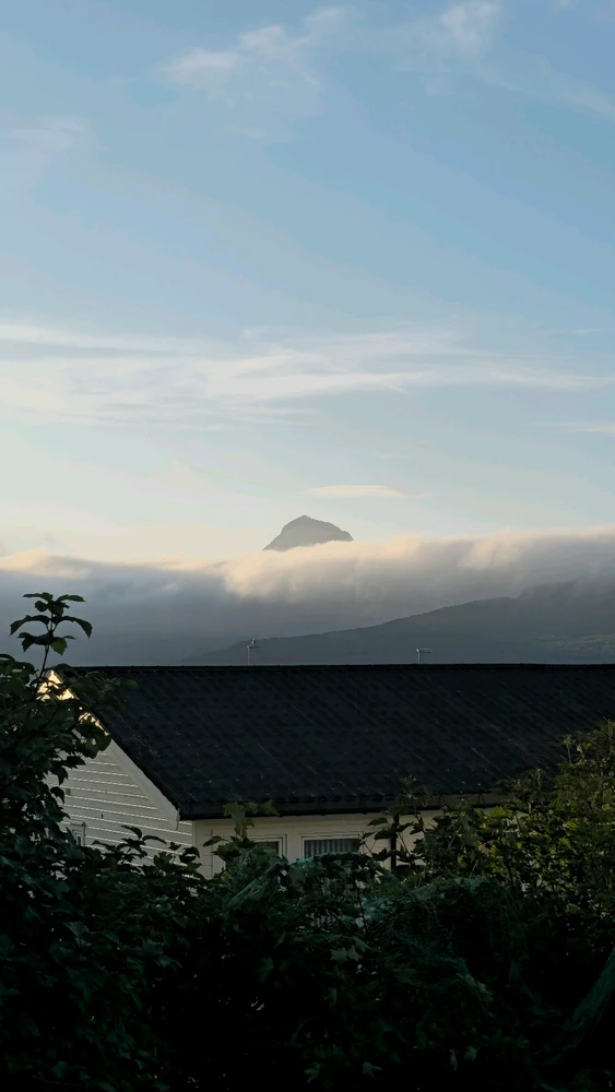 Фото загрузил Kristina