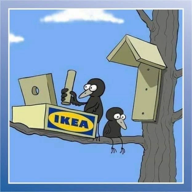 Image uploaded by Creer