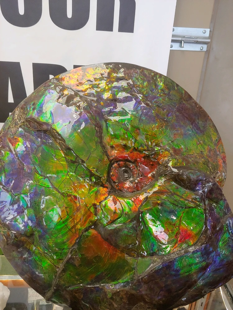 Image uploaded by Katlyne