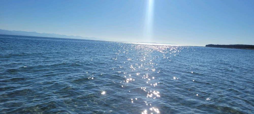 Image uploaded by Mason