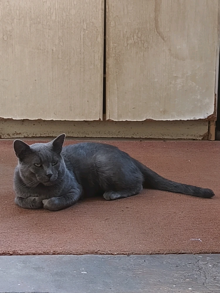 Sliku je postavio/la Nenad