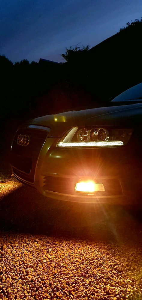 Andre laadis üles pildi