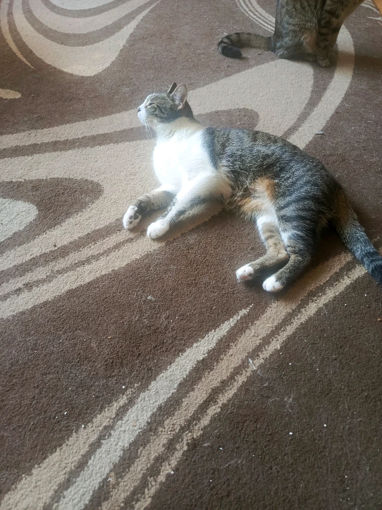 Zdjęcie dodane przez Damian