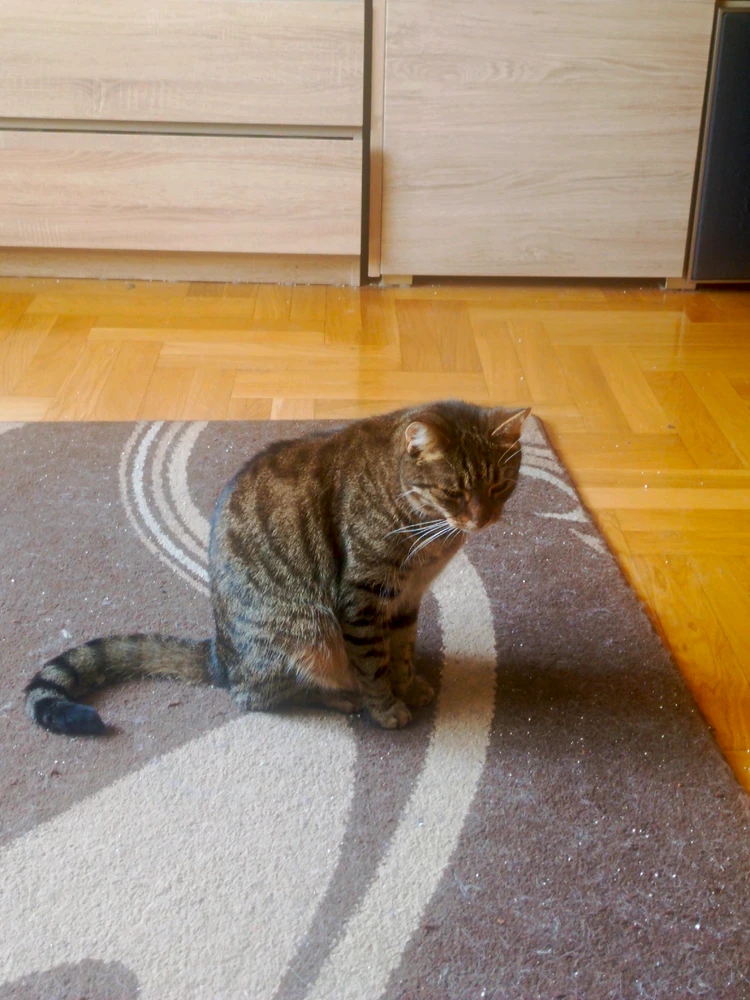 Zdjęcie dodane przez Damian