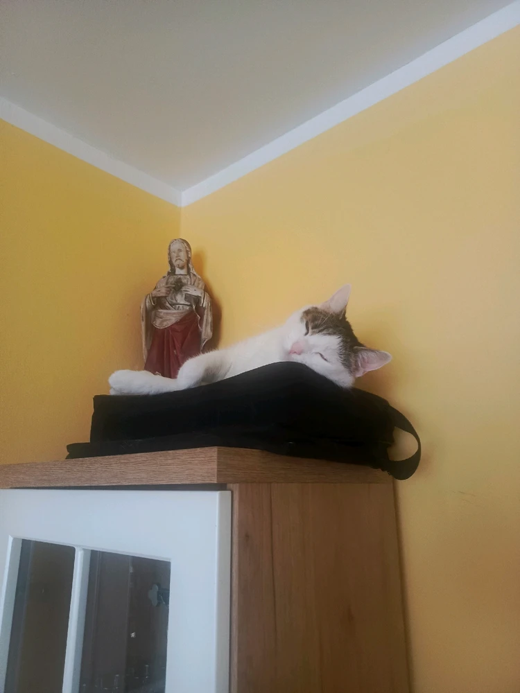 Zdjęcie dodane przez Damian