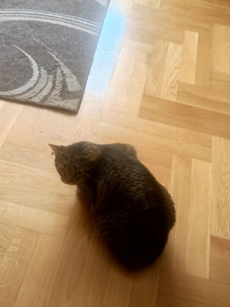 Zdjęcie dodane przez Damian