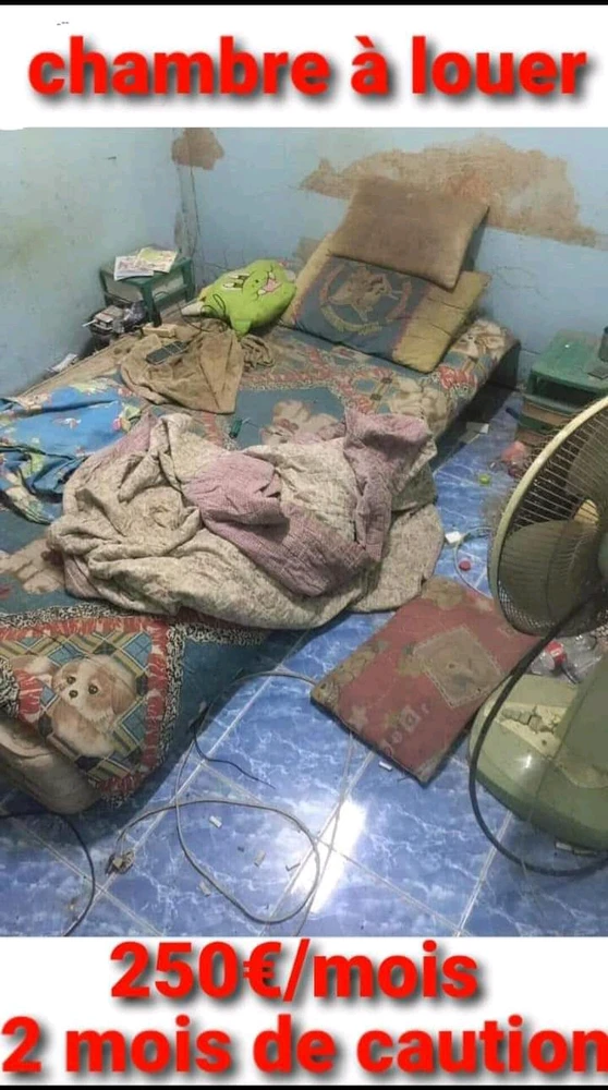 Image ajoutée par Stephe