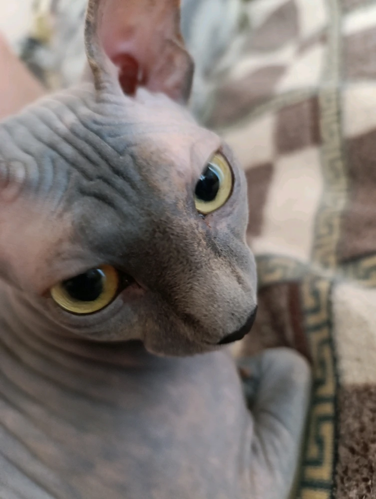 Зображення завантажив Юля