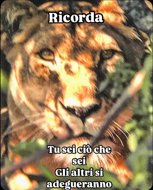 Immagine caricata da Francesco