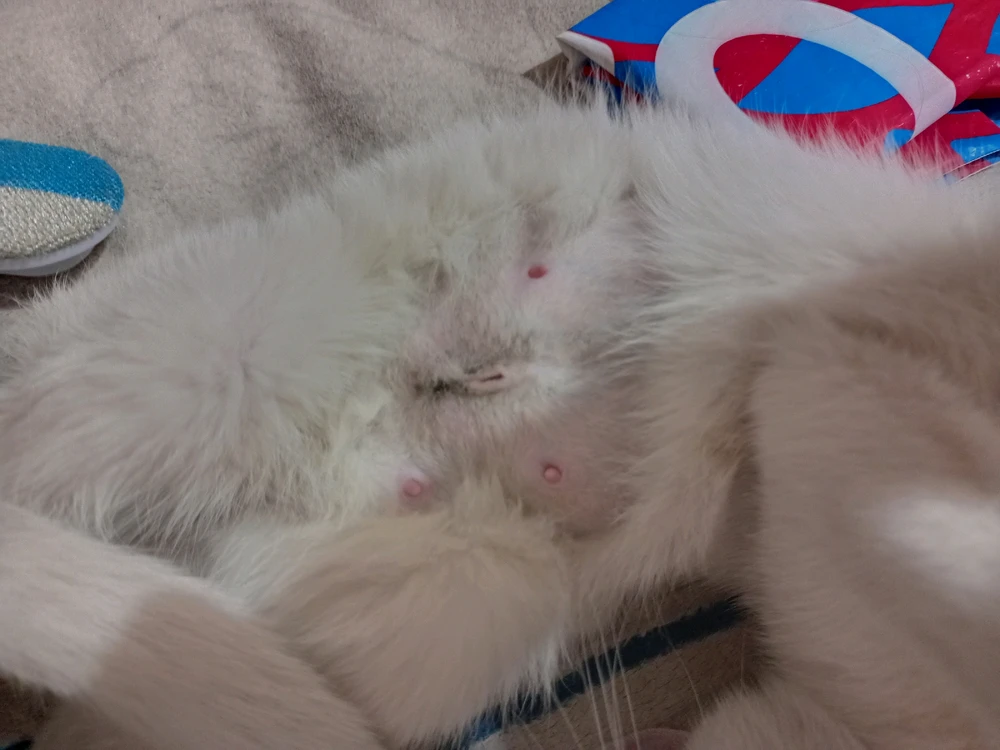 Фото загрузил Lyubov