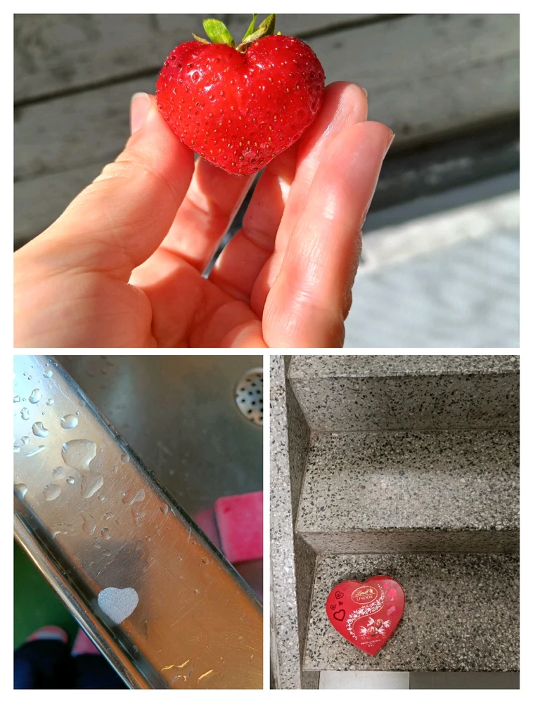 Image uploaded by Elena