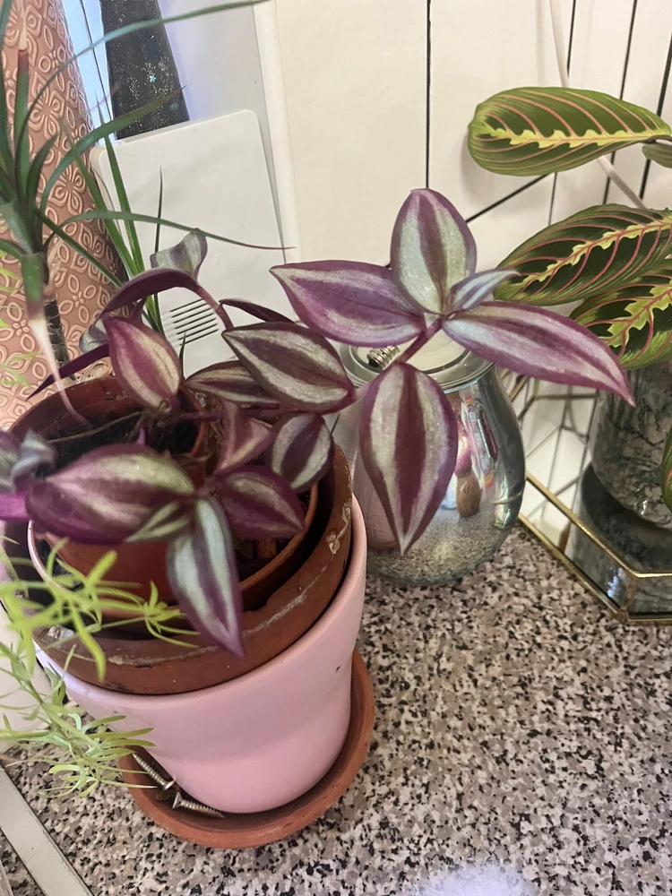 Image uploaded by Eleanore