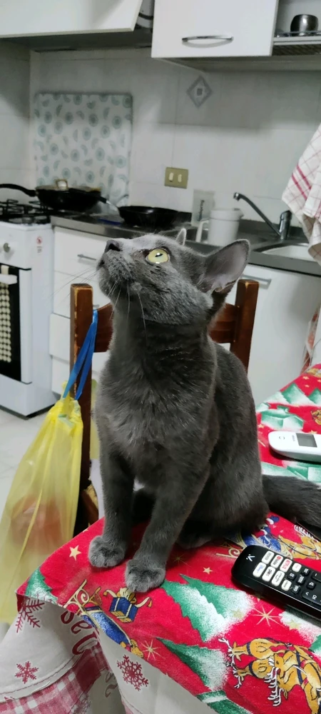 Immagine caricata da Gerardo