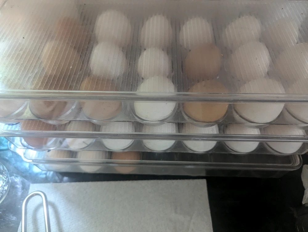 Large quantity of multicolored eggs in plastic containers stacked on a counter
