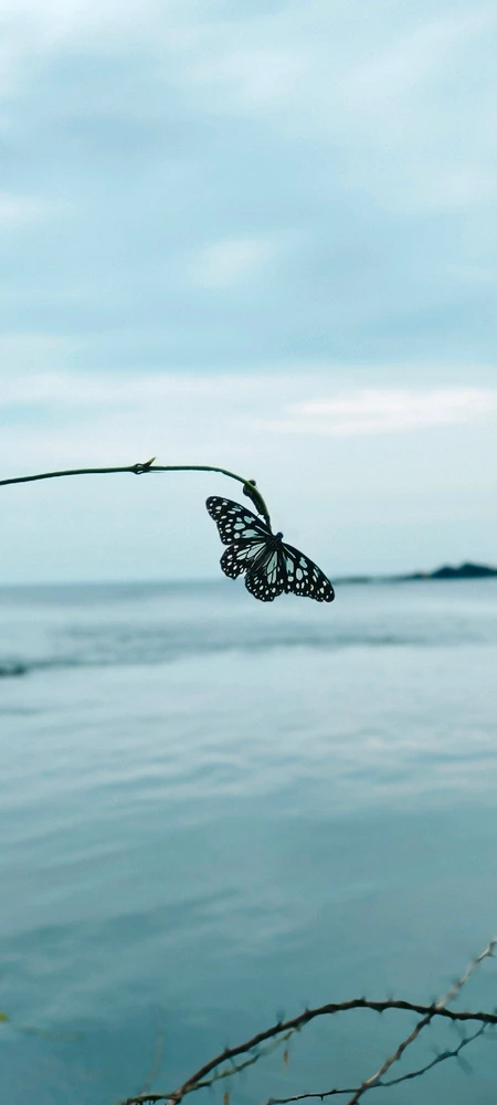 Sooraj അപ്‌ലോഡ് ചെയ്ത ചിത്രം