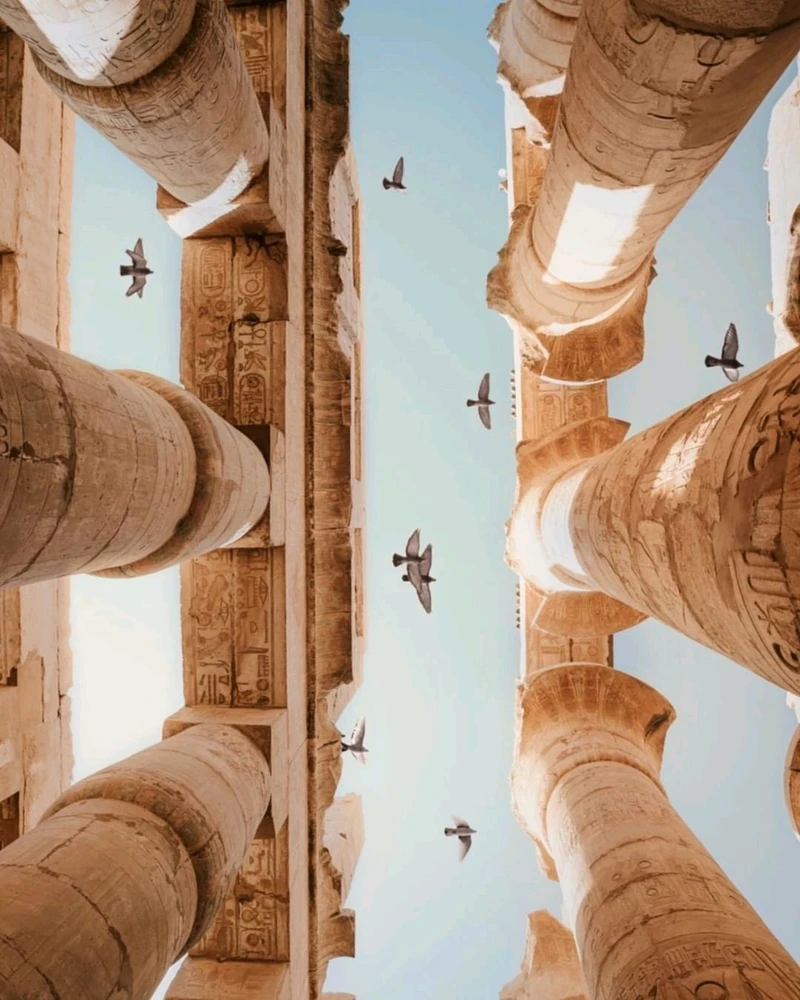 Image uploaded by Ahmed salama