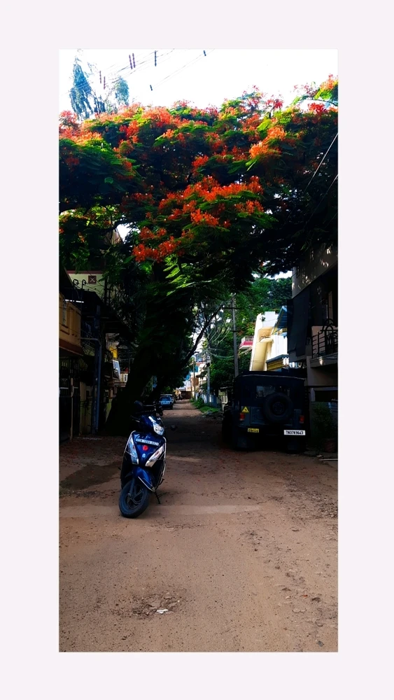 Image uploaded by Kavin Prasanth.R