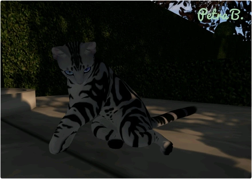 Obrázek nahrál Petra