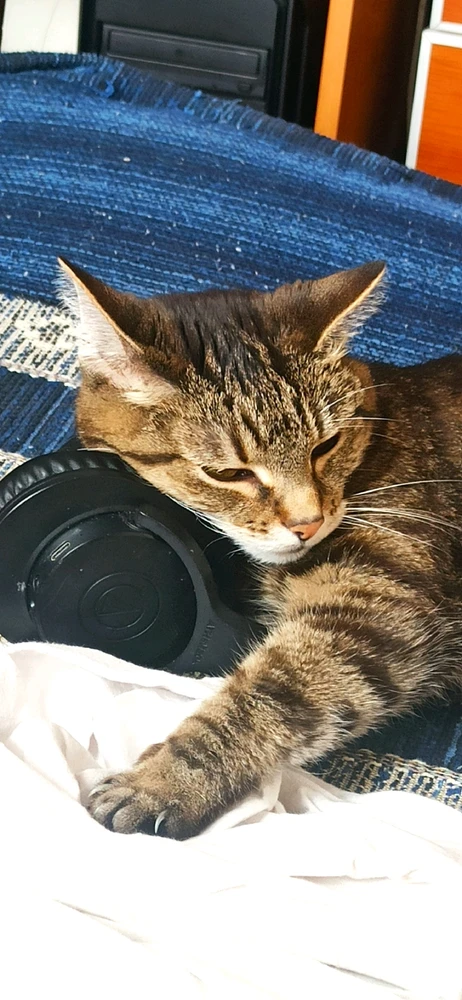 Zdjęcie dodane przez Maks