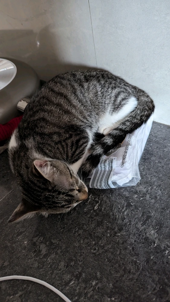 Leoがアップロードした画像
