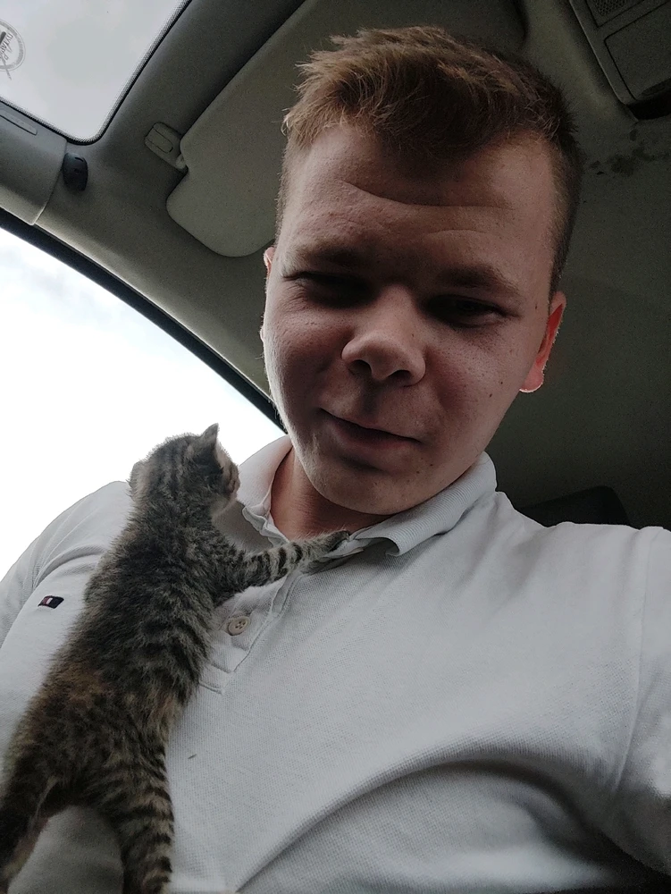 Sliku je postavio/la Samed