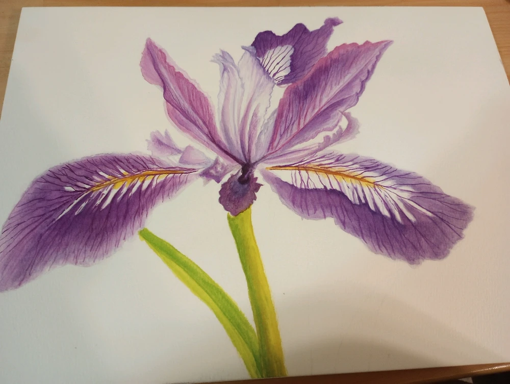 Image uploaded by Sariah