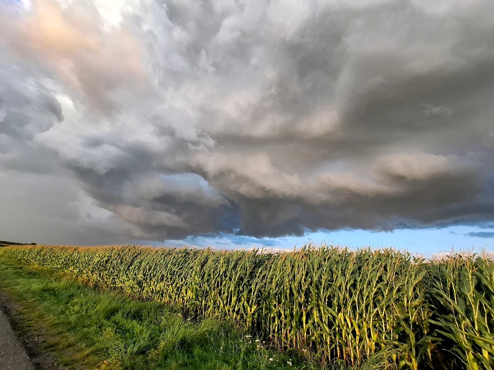 Bild hochgeladen von Kitty