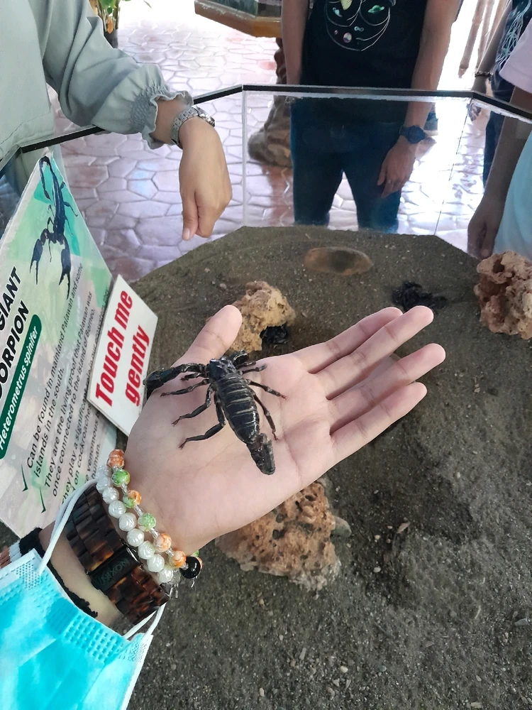 Image uploaded by Rose 🌹