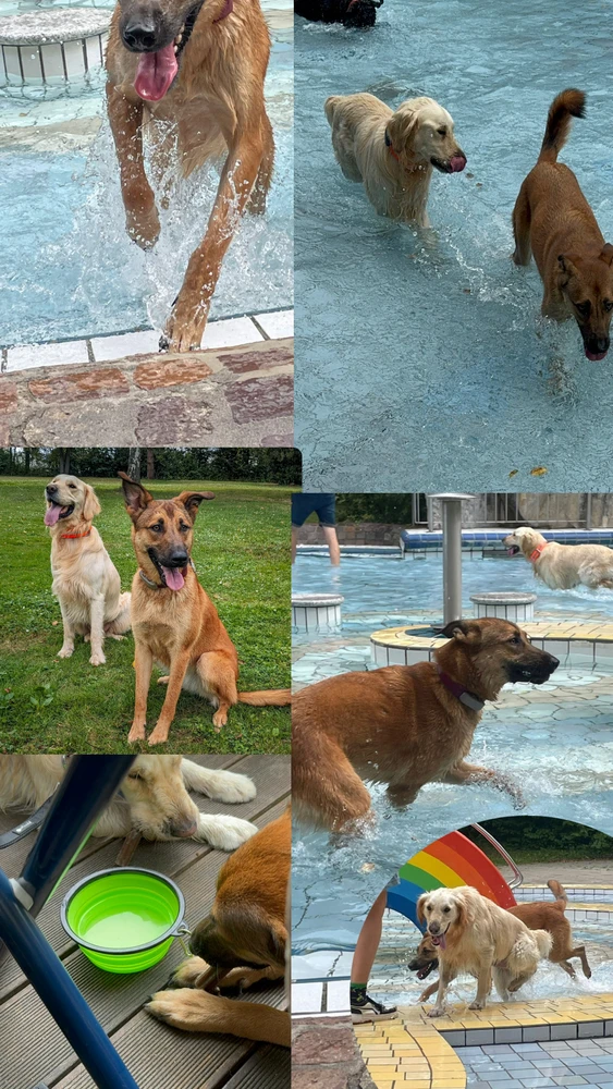 Bild hochgeladen von Angi