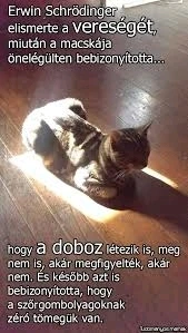 vanazúgy által feltöltött kép