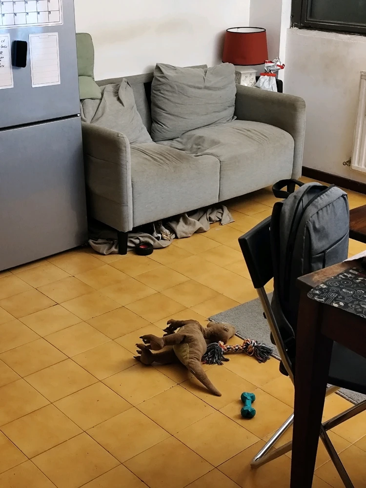 Immagine caricata da Cris