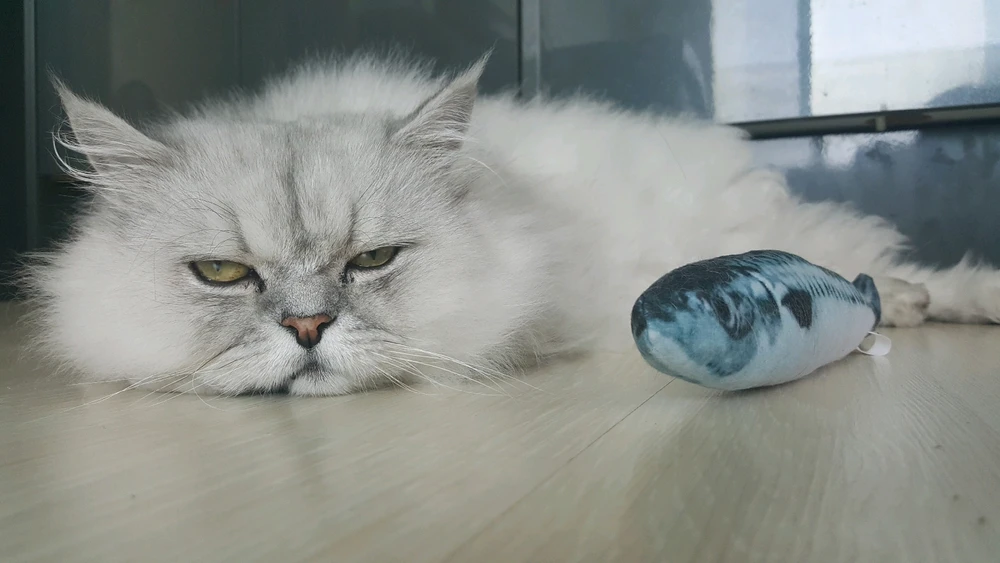 21호님이 올린 사진