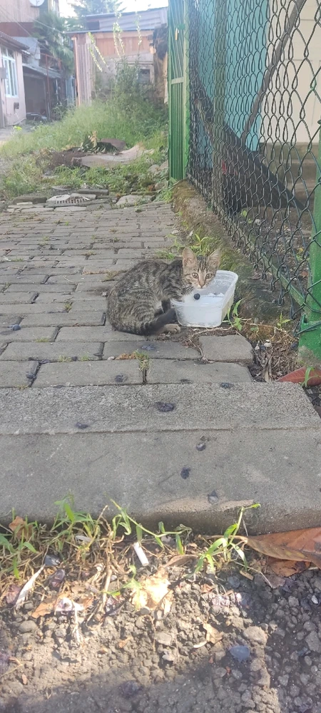 Фото загрузил Julia