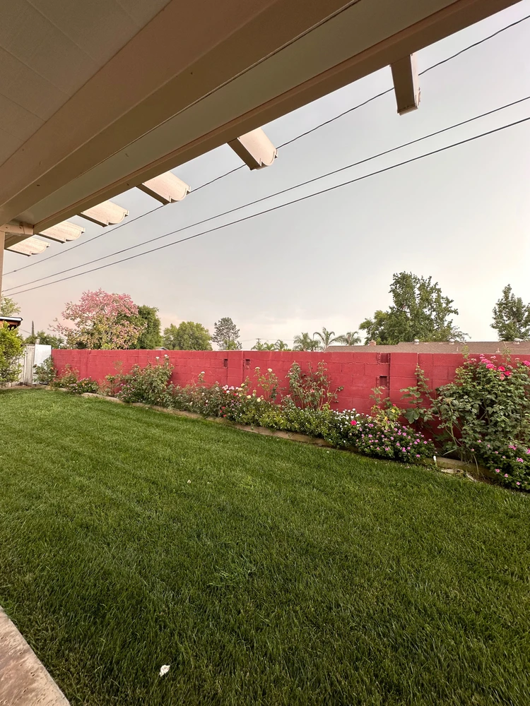 Gambar diunggah oleh Josh